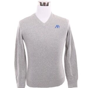 Aeropostale Men Classic V-Neck Solid Golf Sweater